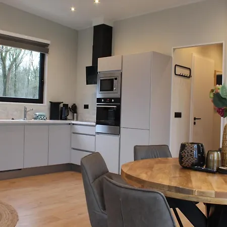 Chalet Contemporary Chalet, Near De Efteling *